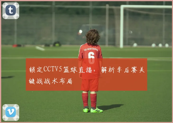 锁定CCTV5篮球直播，解析季后赛关键战战术布局